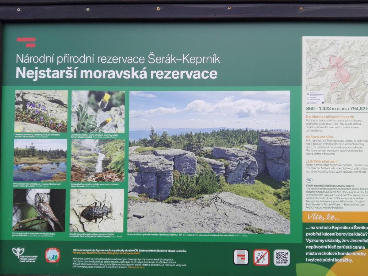 Penzion La Baita Branná Екстериор снимка