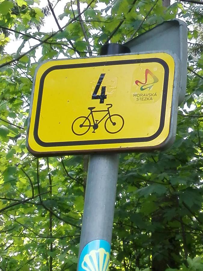 Penzion La Baita Branná Екстериор снимка