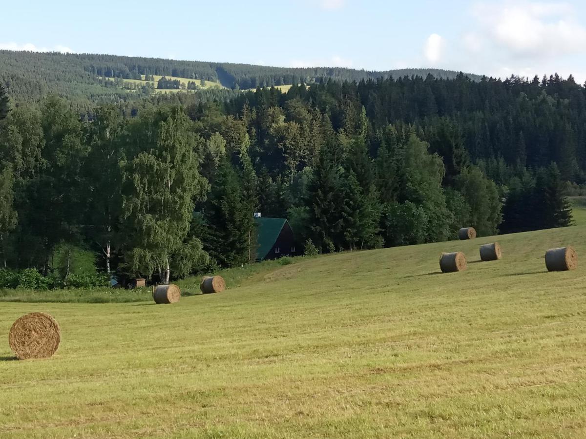 Penzion La Baita Branná Екстериор снимка