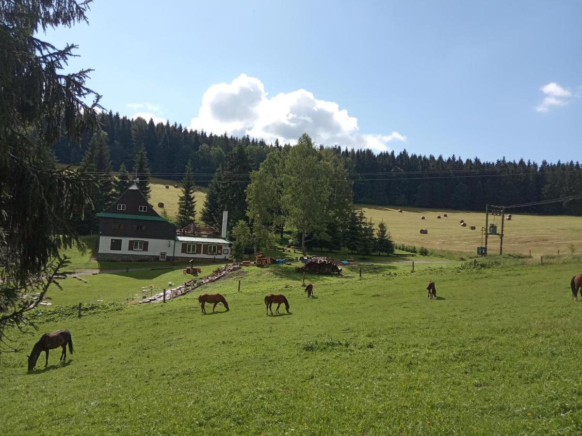 Penzion La Baita Branná Екстериор снимка