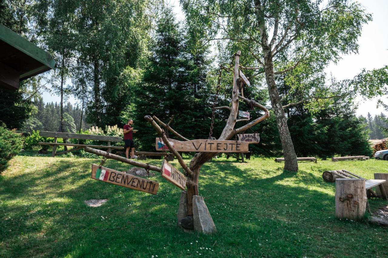 Penzion La Baita Branná Екстериор снимка
